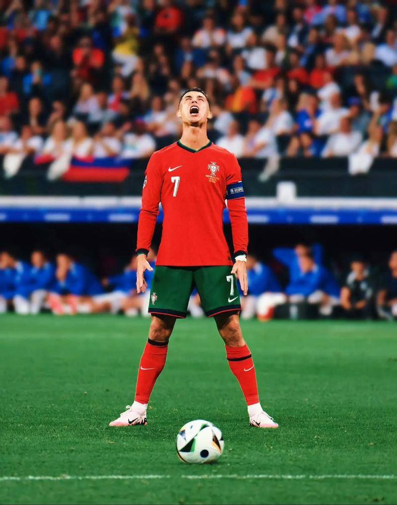 球迷和业内 球迷和业内